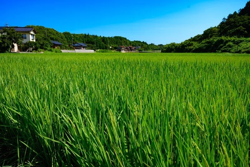 画像25