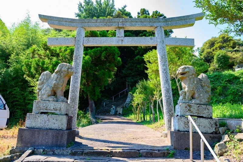 画像27