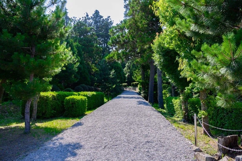 画像28