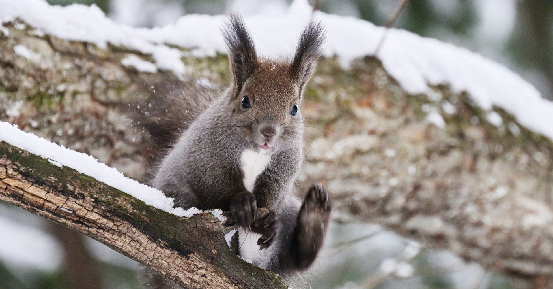 1121c572dded9ea6bb03c64fdebdc6