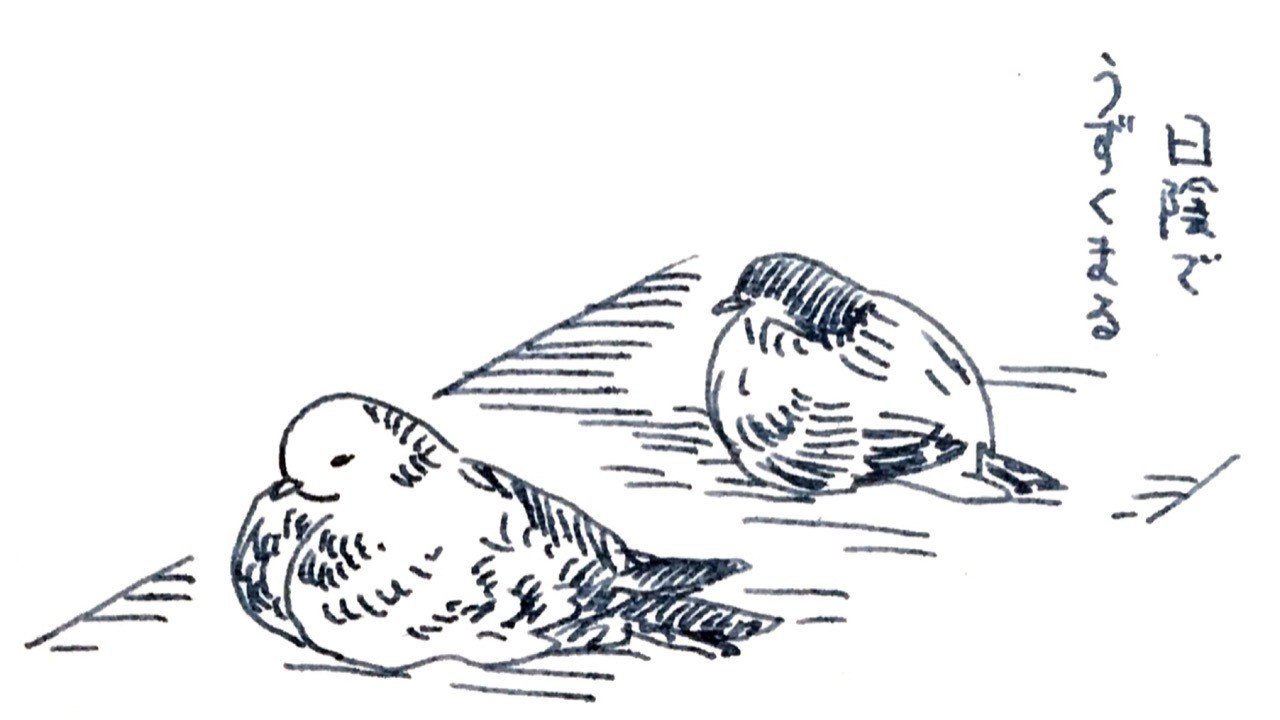 平和の象徴 しらかわあずま Note