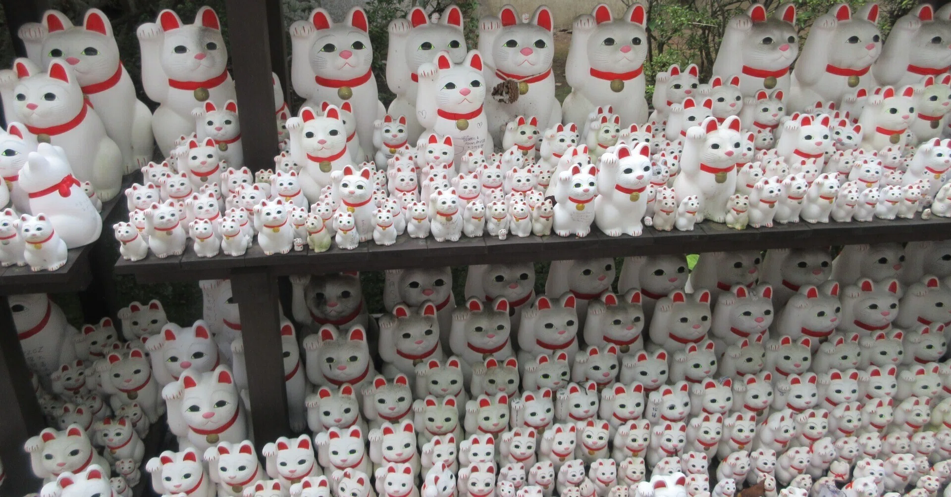 完全犯罪に猫は何匹必要か?～読書記録412～｜かおり
