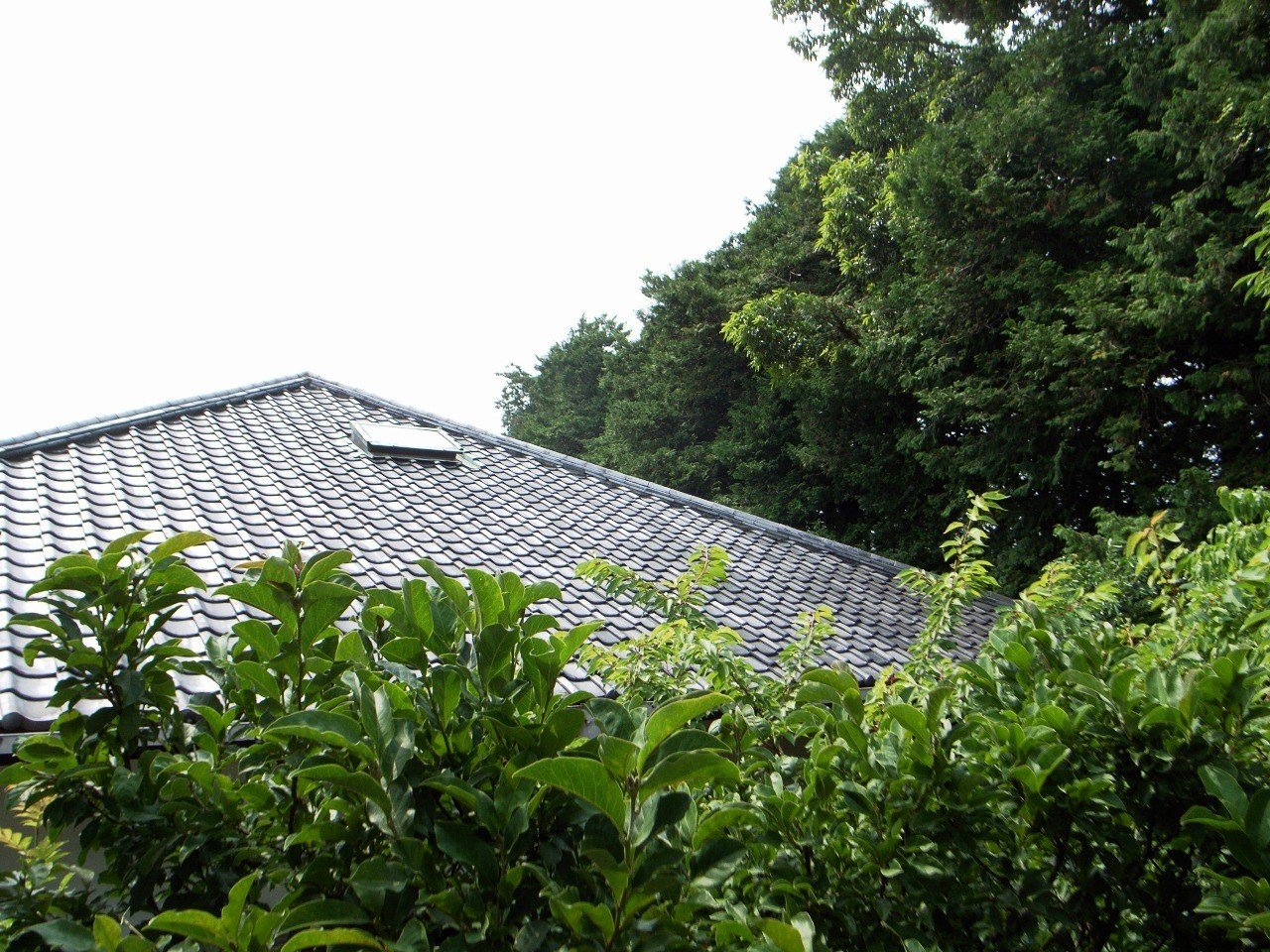 第3章 象徴の家 白の家 立石遼太郎 Millegraph 株式会社ミルグラフ Note