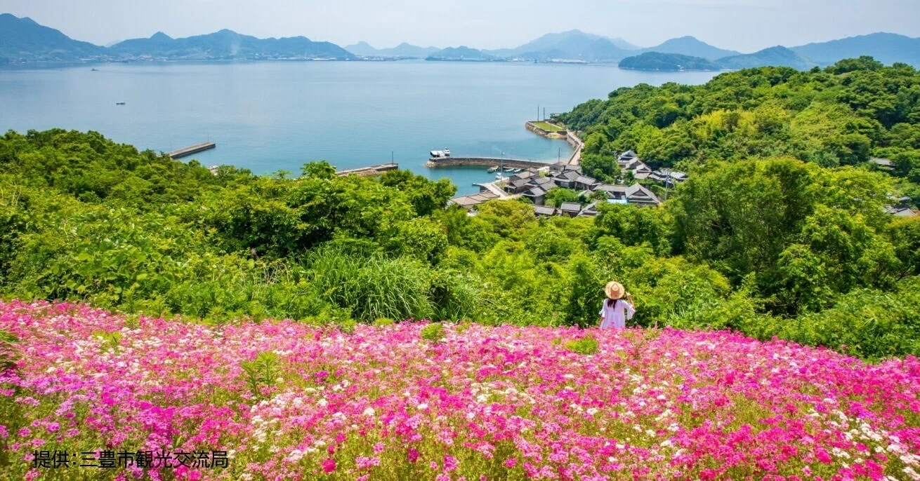 天空の花畑」志々島 見ごろは5月まで｜香川県公式