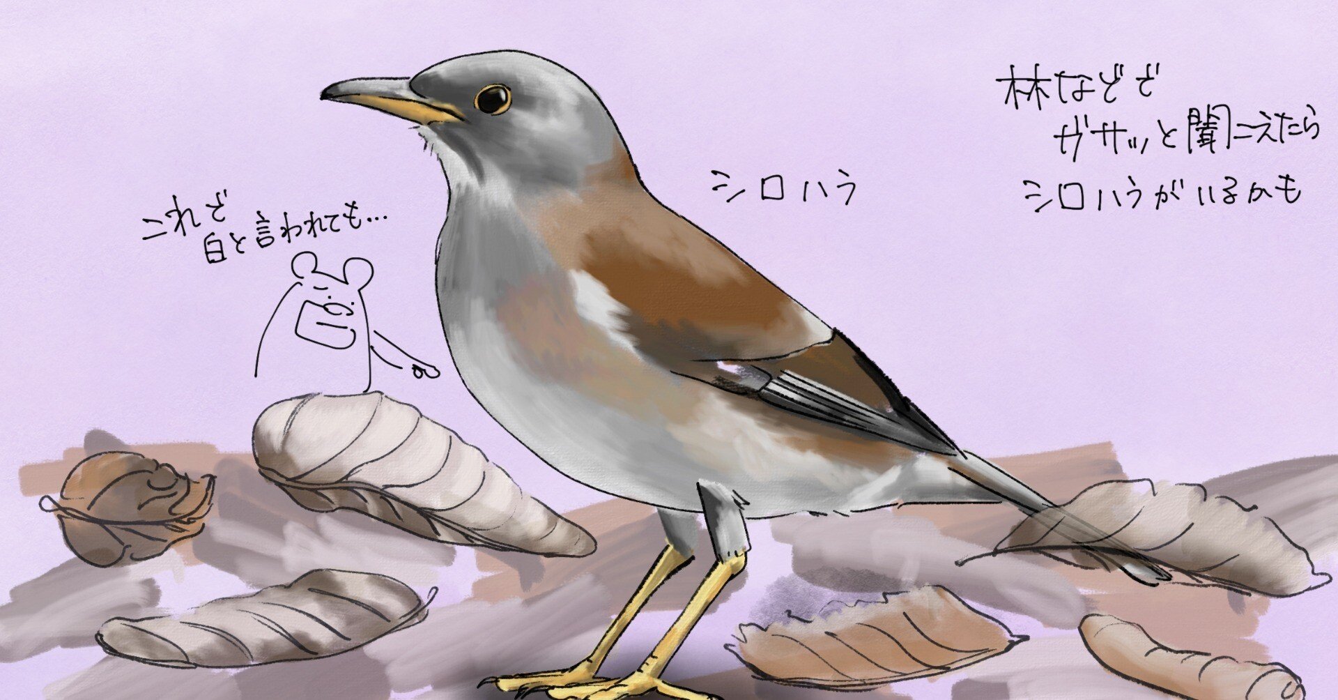 0cf3c5bf9304194b3c46f162425cc8