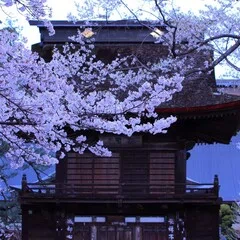 武田不動尊．．．歴史資料から見る（2）：『甲陽軍鑑』品第八｜古川 周賢