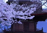 武田不動尊...歴史資料から見る(2):『甲陽軍鑑』品第八|古川 周賢 武田不動尊...歴史資料から見る(2):『甲陽軍鑑』品第八|古川 周賢