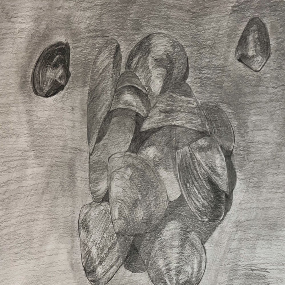 デッサン初心者がデッサンを続けてみて思った事。｜アヒル隊長