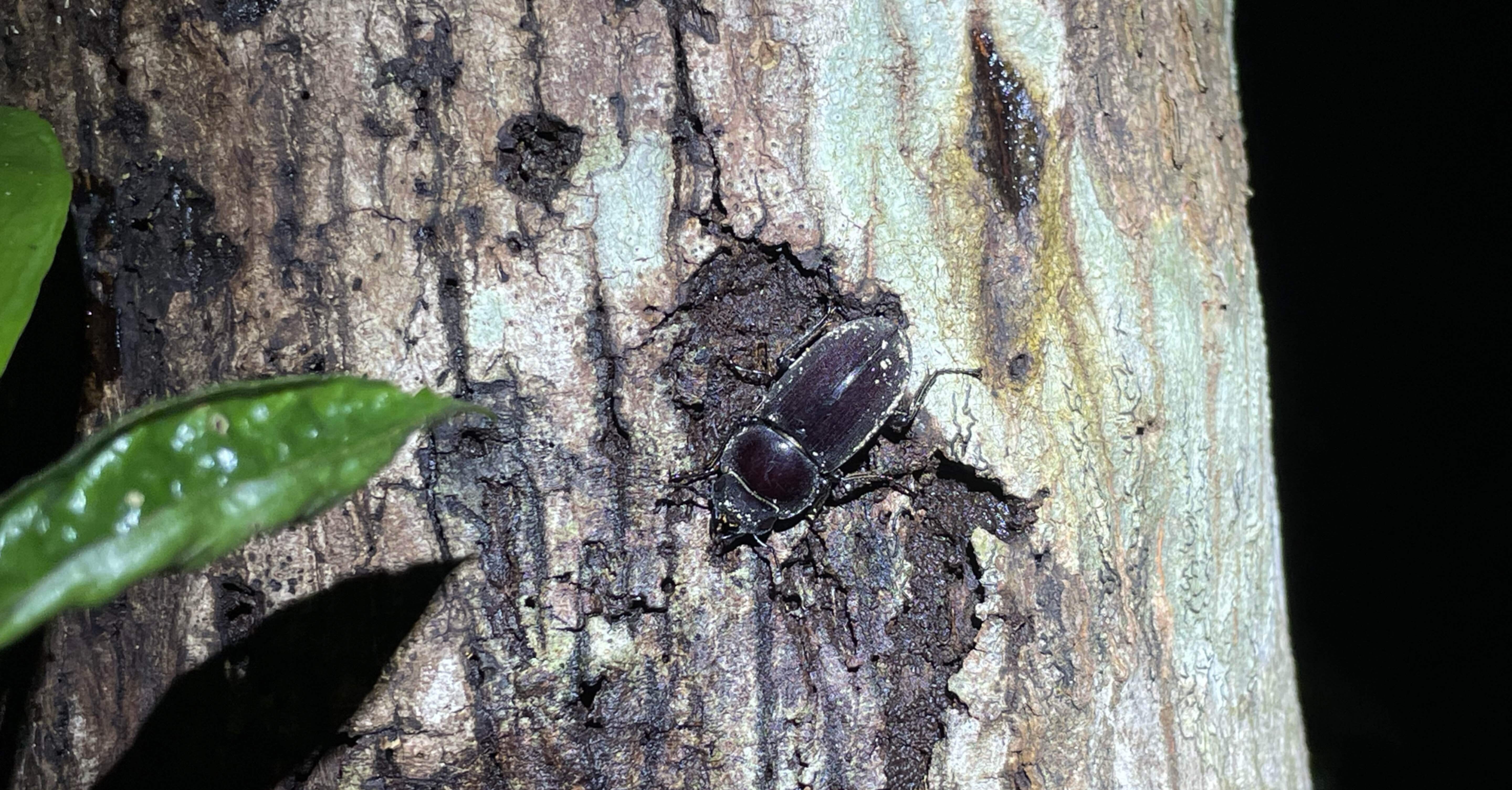 a5bfd64e010ee7830880e86fffe58a