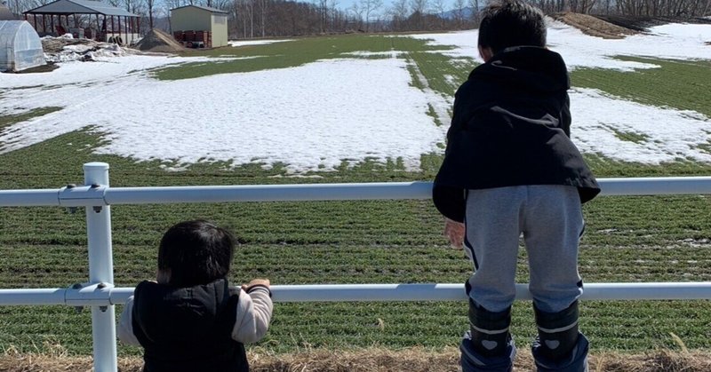 チョコを食べ、息子に泣かれ、謎の信頼を獲得した話