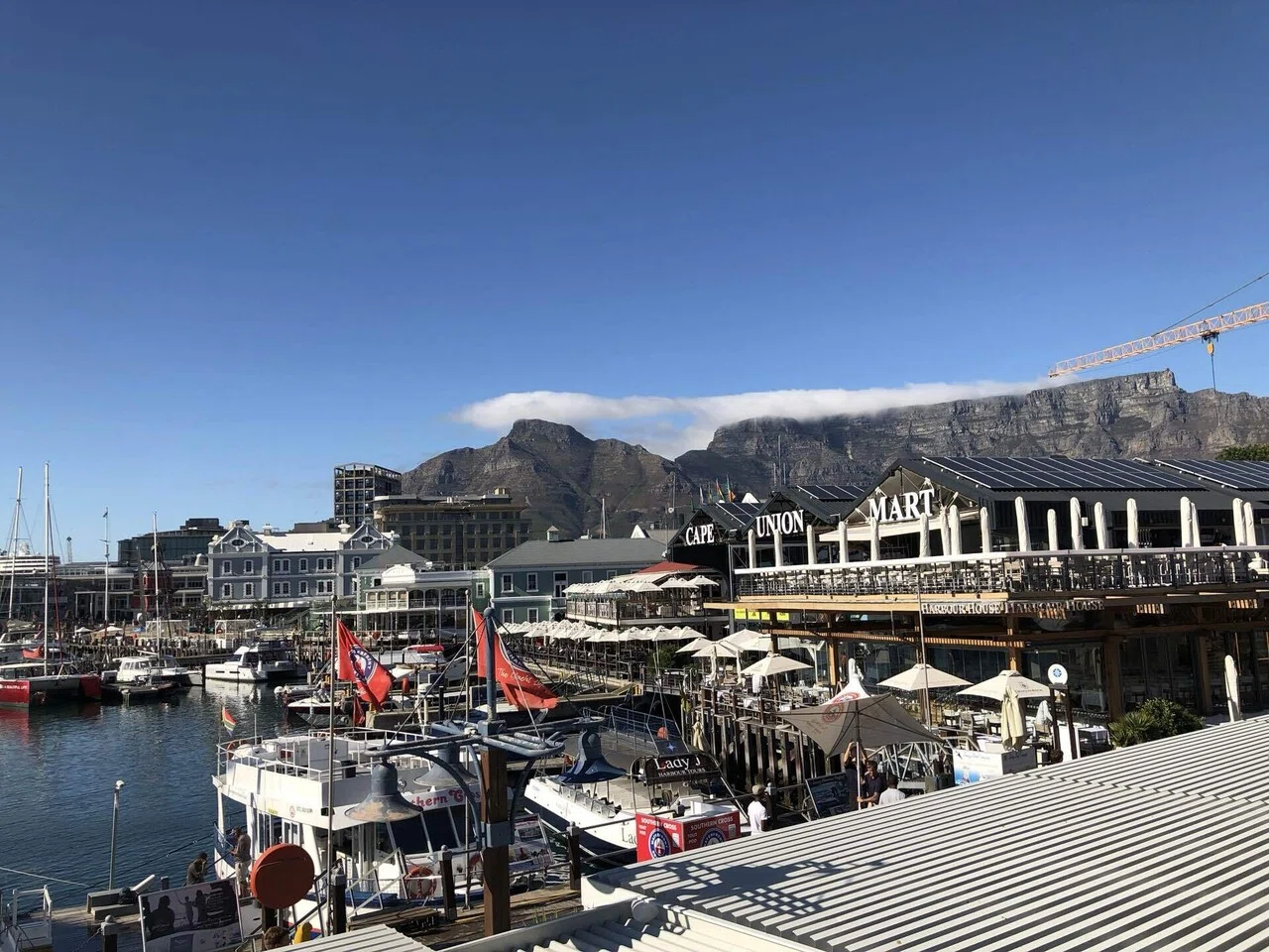 🇿🇦南アフリカ 観光都市ケープタウン滞在｜Ryota