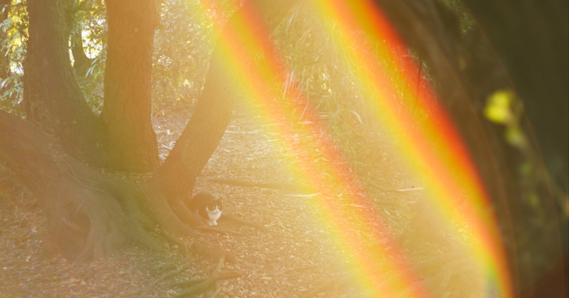 51227b821b8564c388bc8a7be410dc