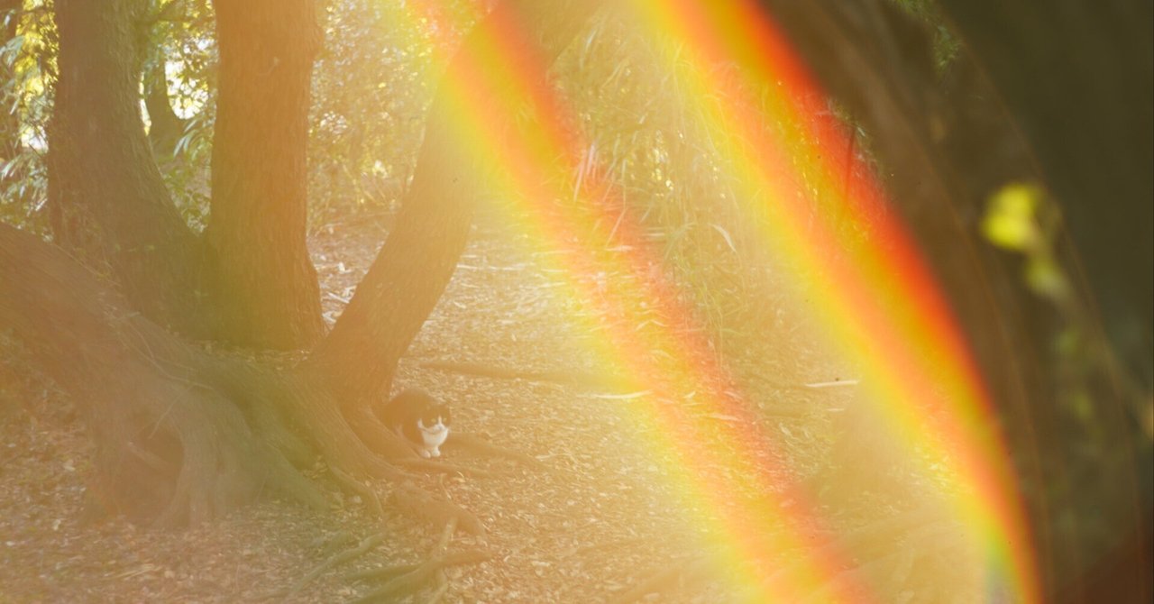 ペンタックス Super Takumar 55mm F1.8は、目に見えない光を写すレンズ