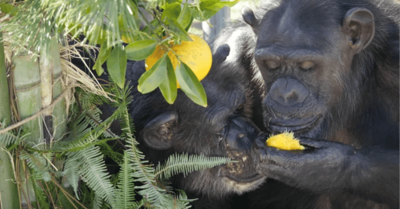 このままでは終われない。」熊本サンクチュアリが3度目のクラウド