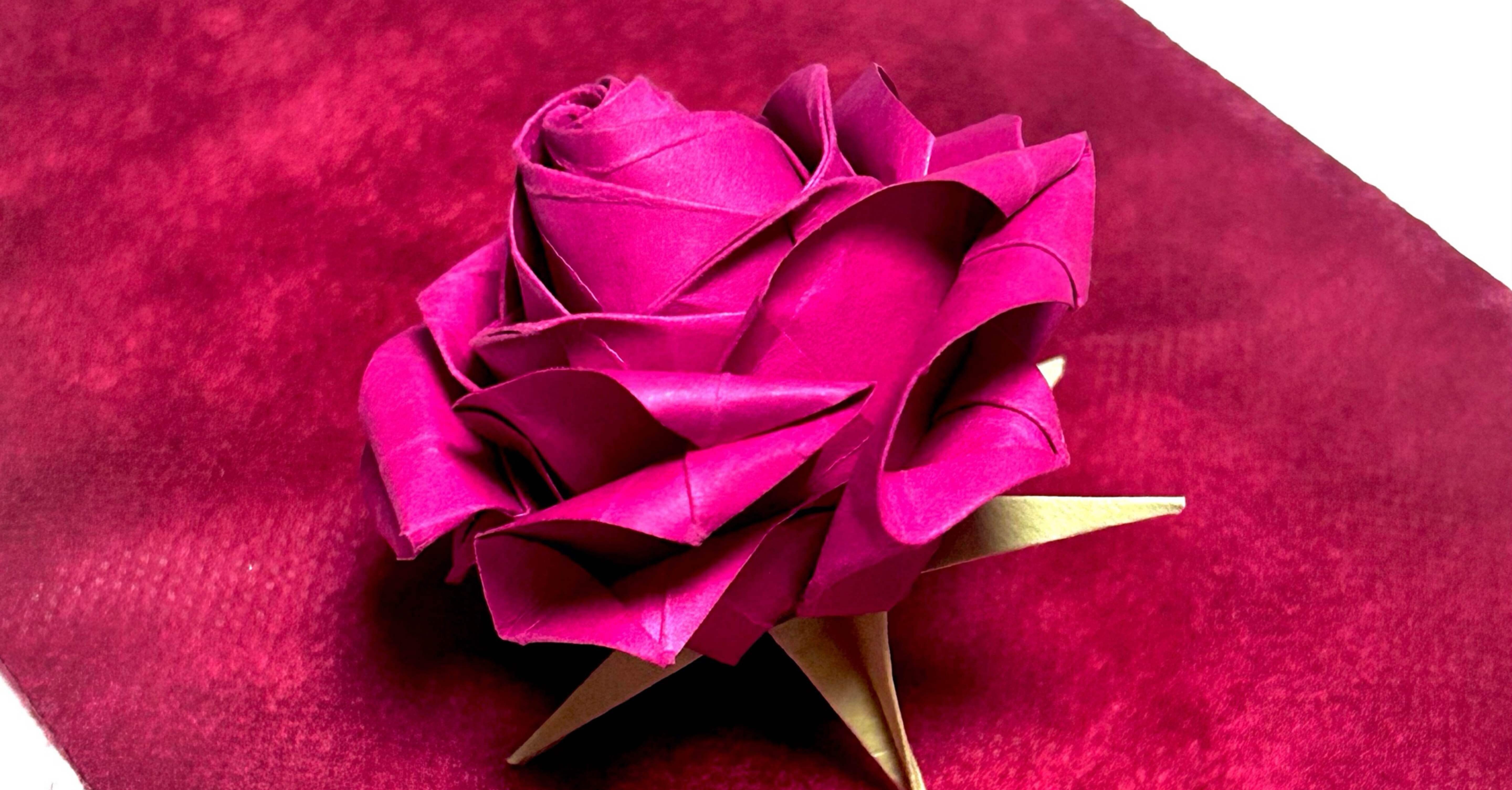 776121f201821e5ce5e5daa29336c3