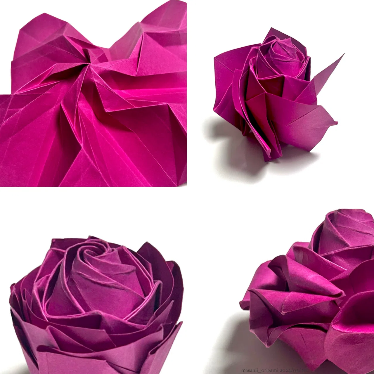 幻のカラー「インディアン・ピンク」で折る佐藤ローズ。／Sato rose