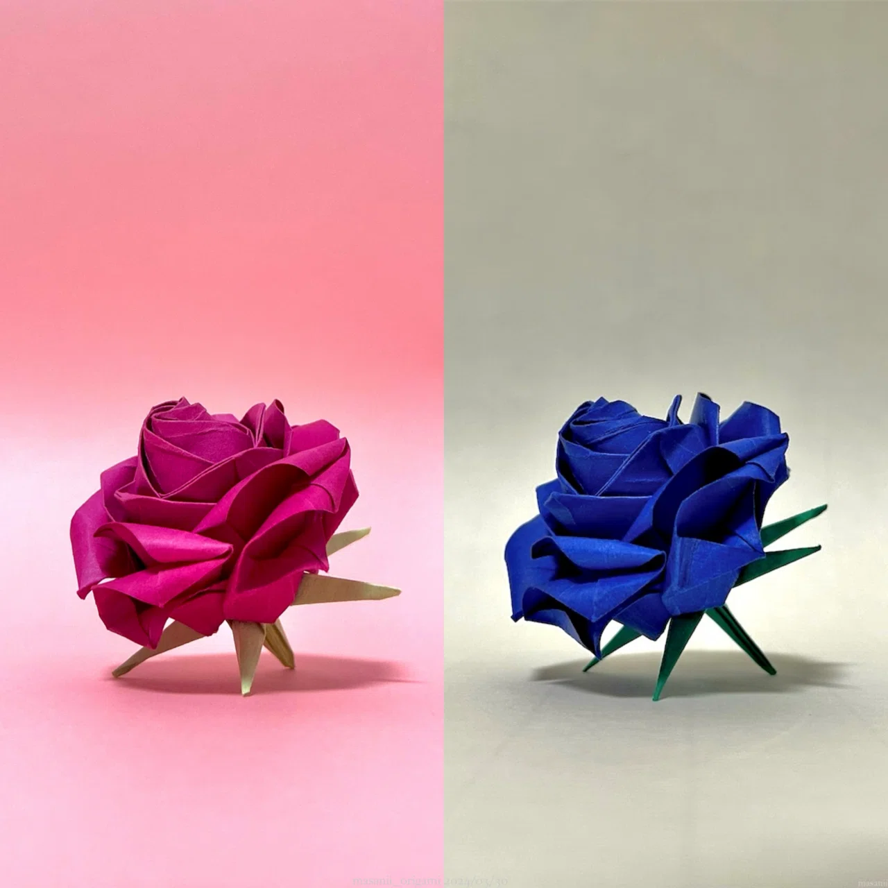 幻のカラー「インディアン・ピンク」で折る佐藤ローズ。／Sato rose