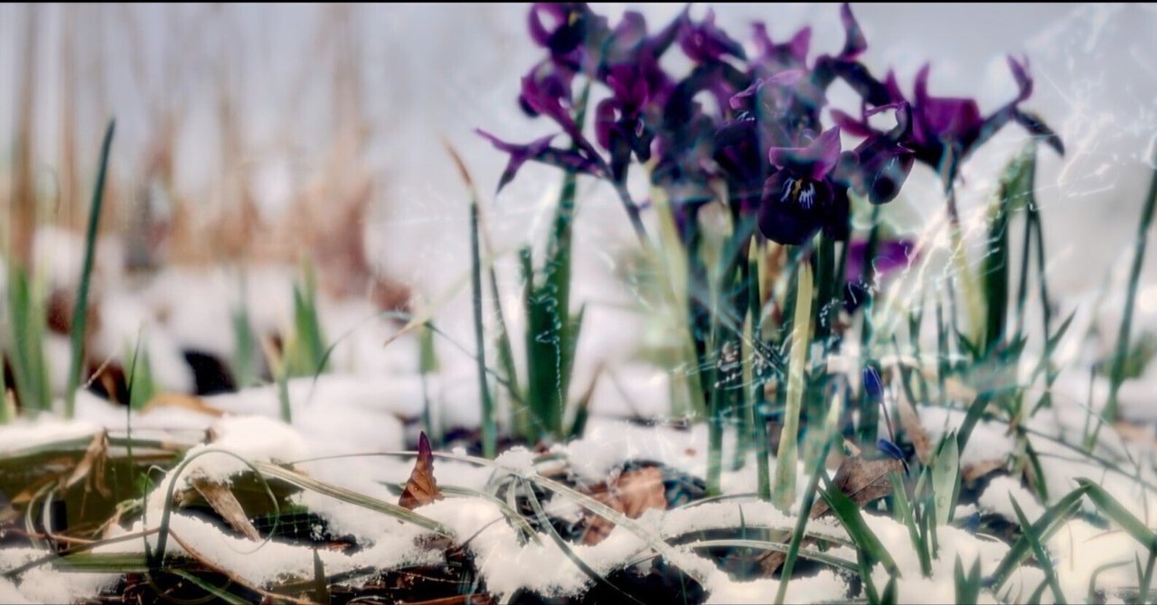 浦川智子 北風のピリオド 天野滋 天野滋提供曲 浦川智子〜北風の