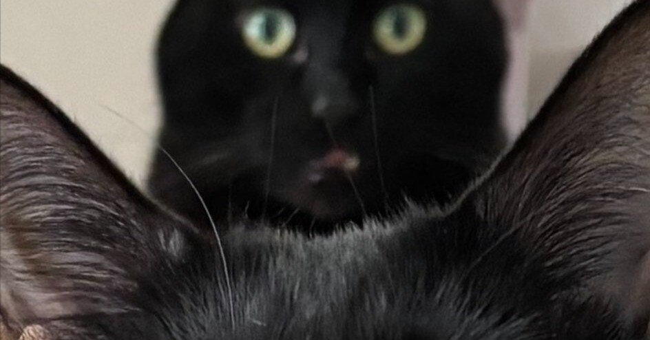 f5f0337e89ca8d60f701e6706729ba