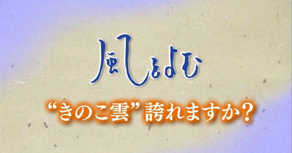 美しい花の画像