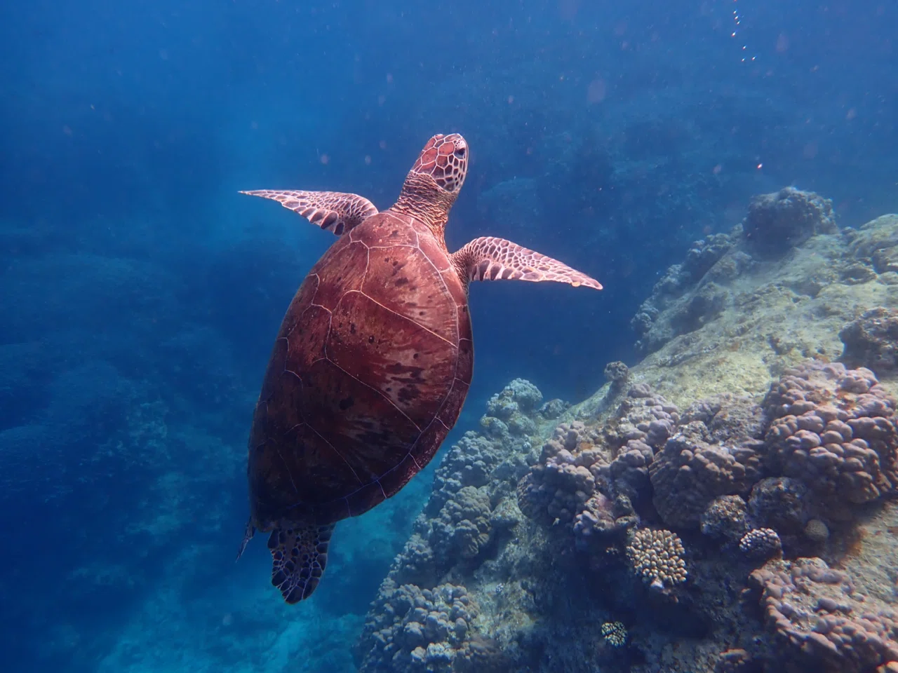 【大】海辺の潮風と太陽で天然エイジングされた無垢古木を使った壁掛けミラーNO.1 大】海辺の潮風と太陽で天然エイジングされた無垢古木を使った壁掛け