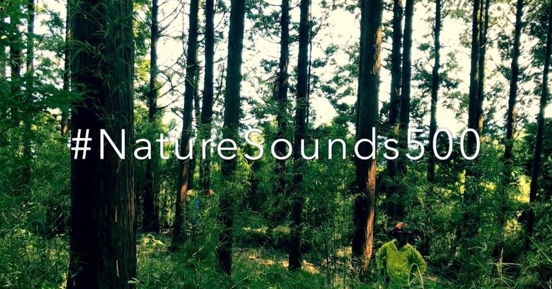 【山の日特集】#NatureSounds500 -熱海キコリーズフォレストの自然音- (28/1000)