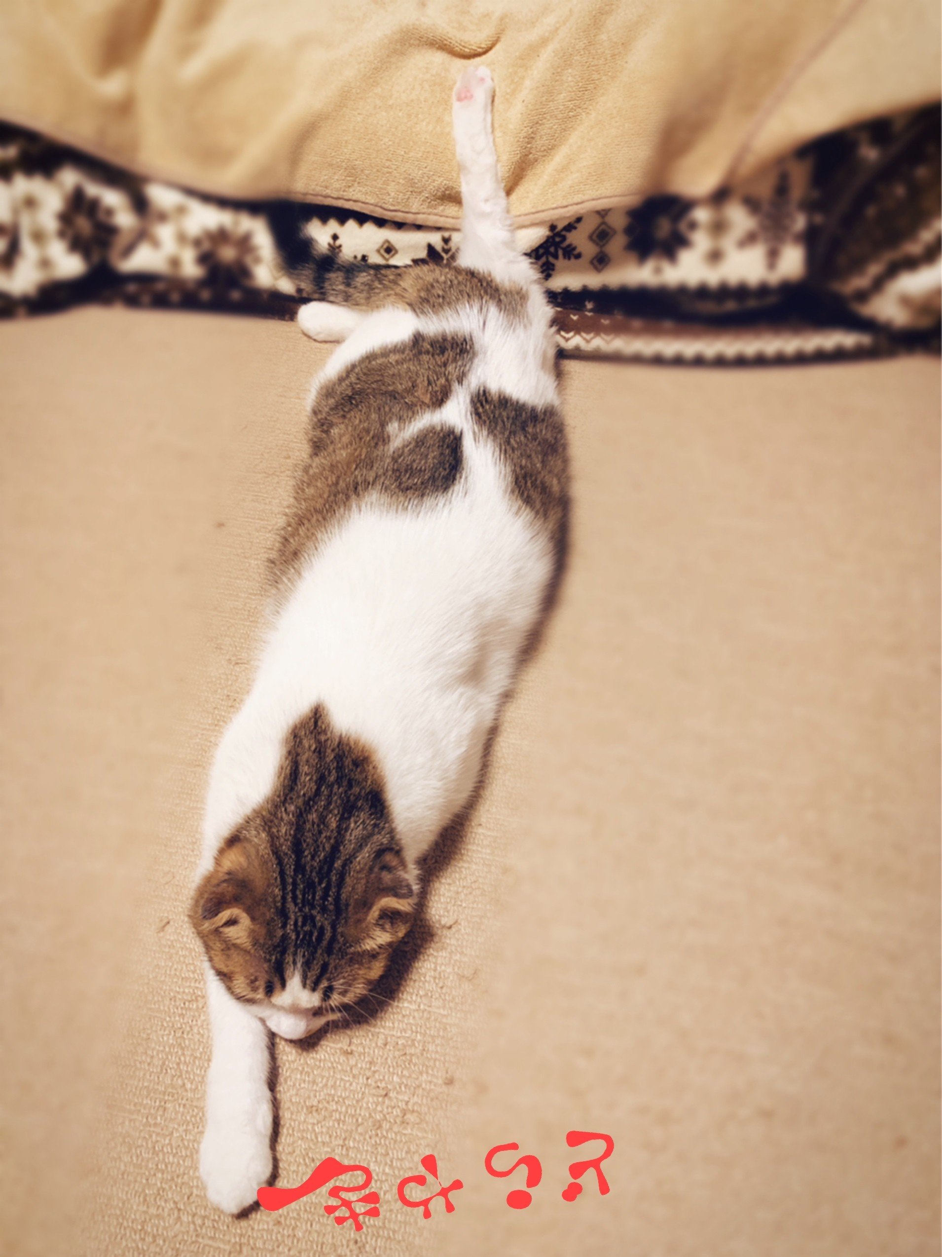 元野良スコ の新着タグ記事一覧 Note つくる つながる とどける