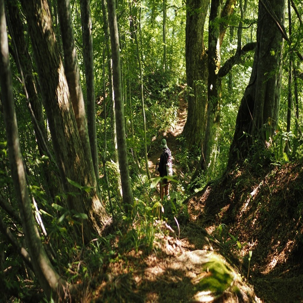 山の景色を撮りにでかけよう - 川野恭子｜OM SYSTEM