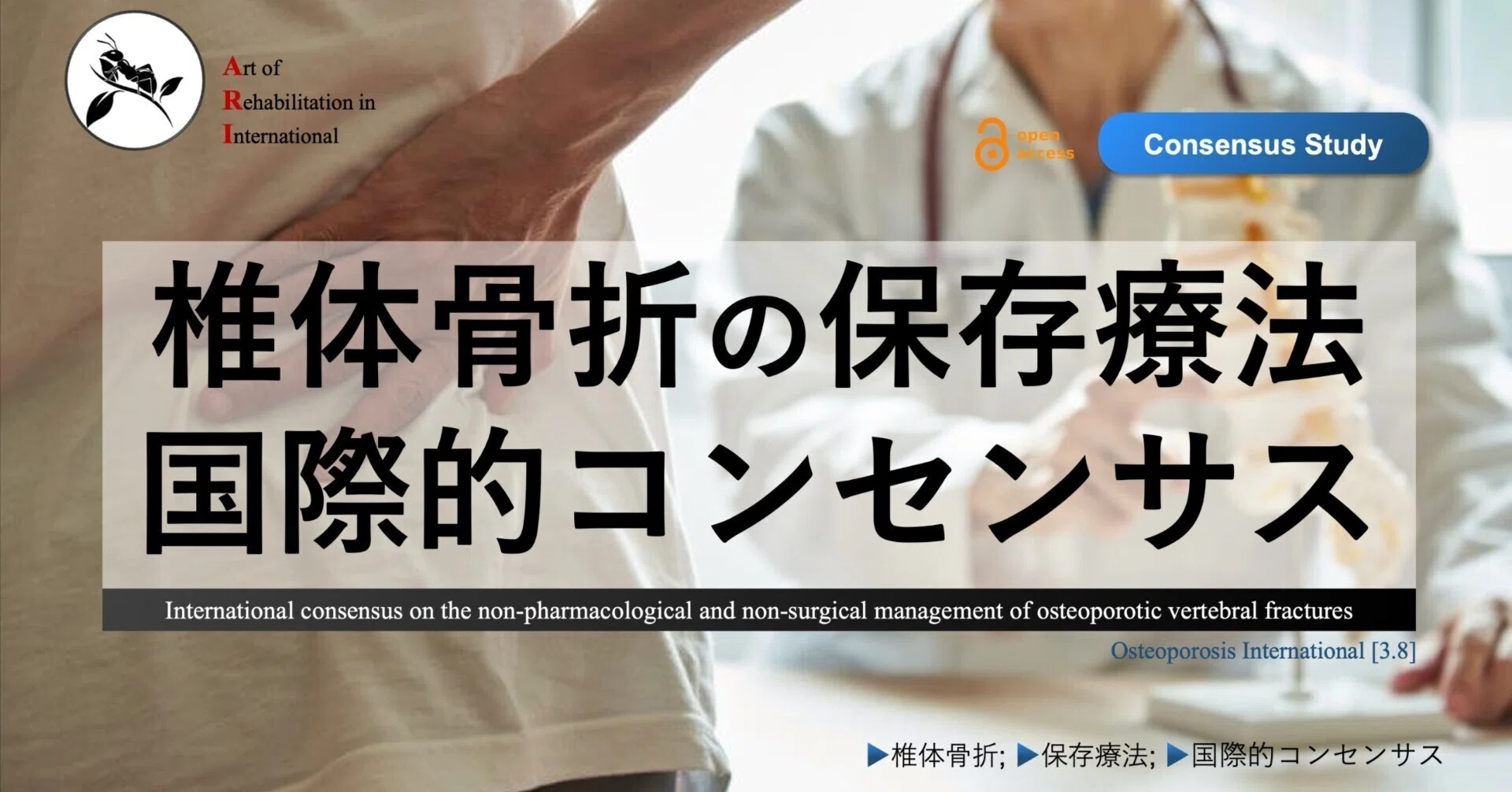 椎体骨折の保存療法。国際的コンセンサス｜Super Human | 理学療法士