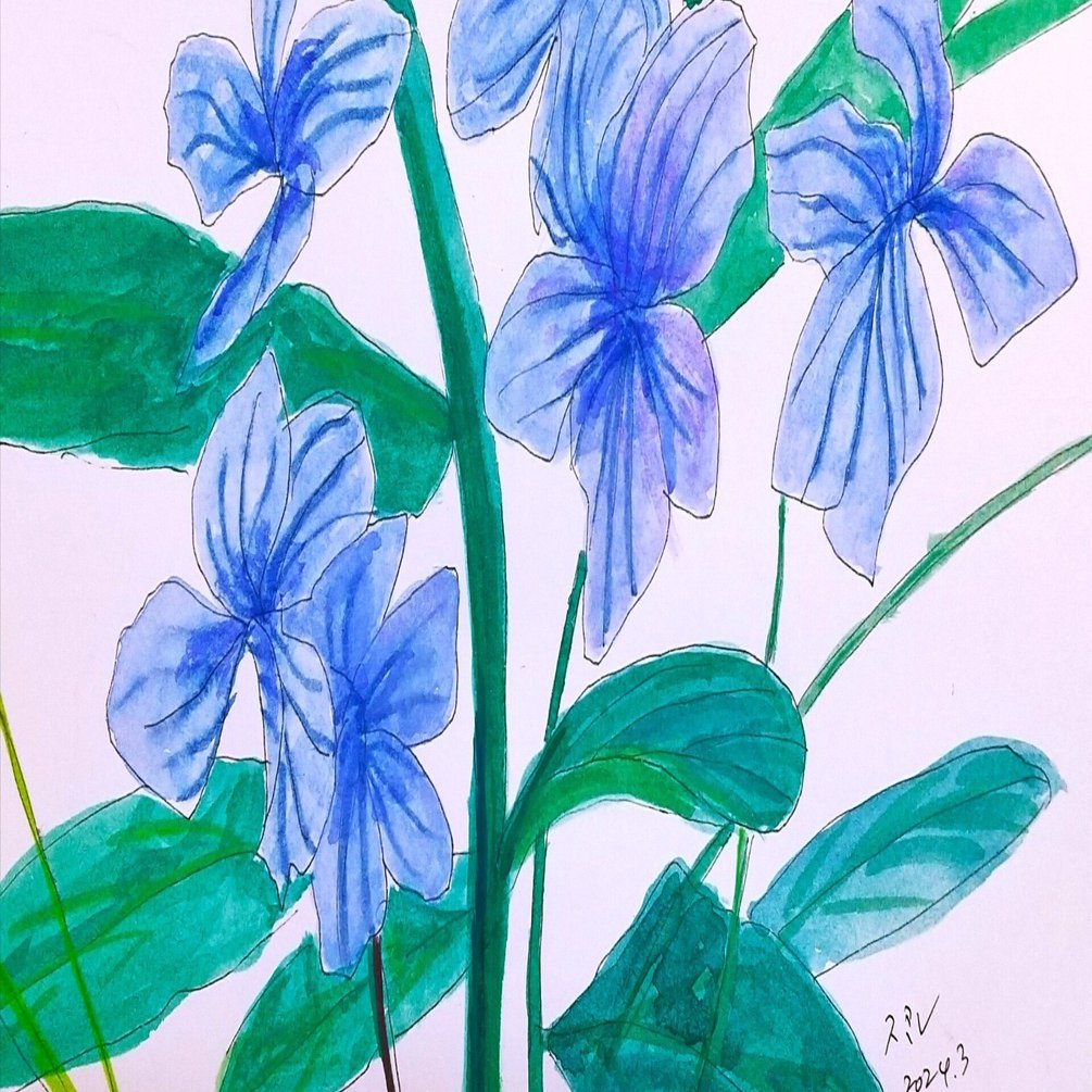 すみれ（菫）｜北海道の熊おやじ〜北海道の179市町村の歴史と観光