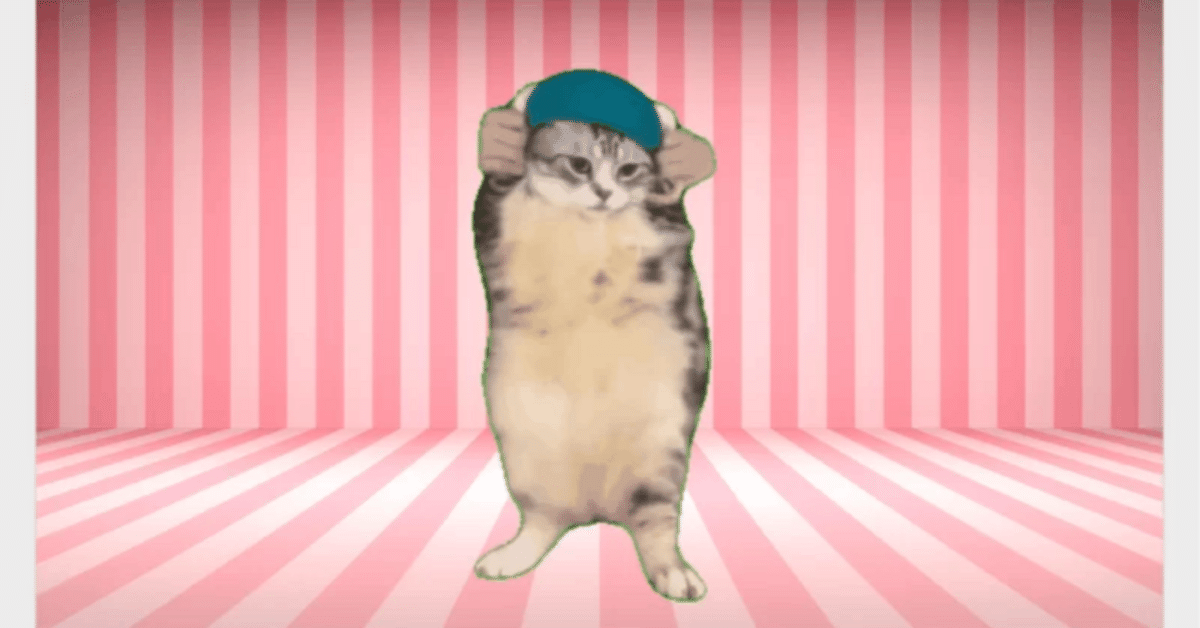 猫ミームが流行ってる時代に追いつけない｜Shinpei／エッセイごっこ