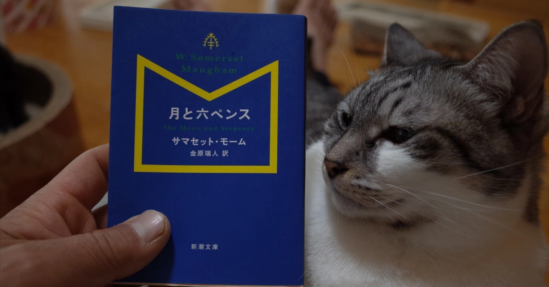 月と六ペンス」読書感想文｜笠原 英二（単行本が文庫本に見える手を