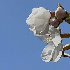 与勇輝作品の衝撃｜communi8