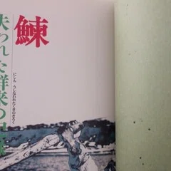 歴史資料としての掛川写真｜山本竜也