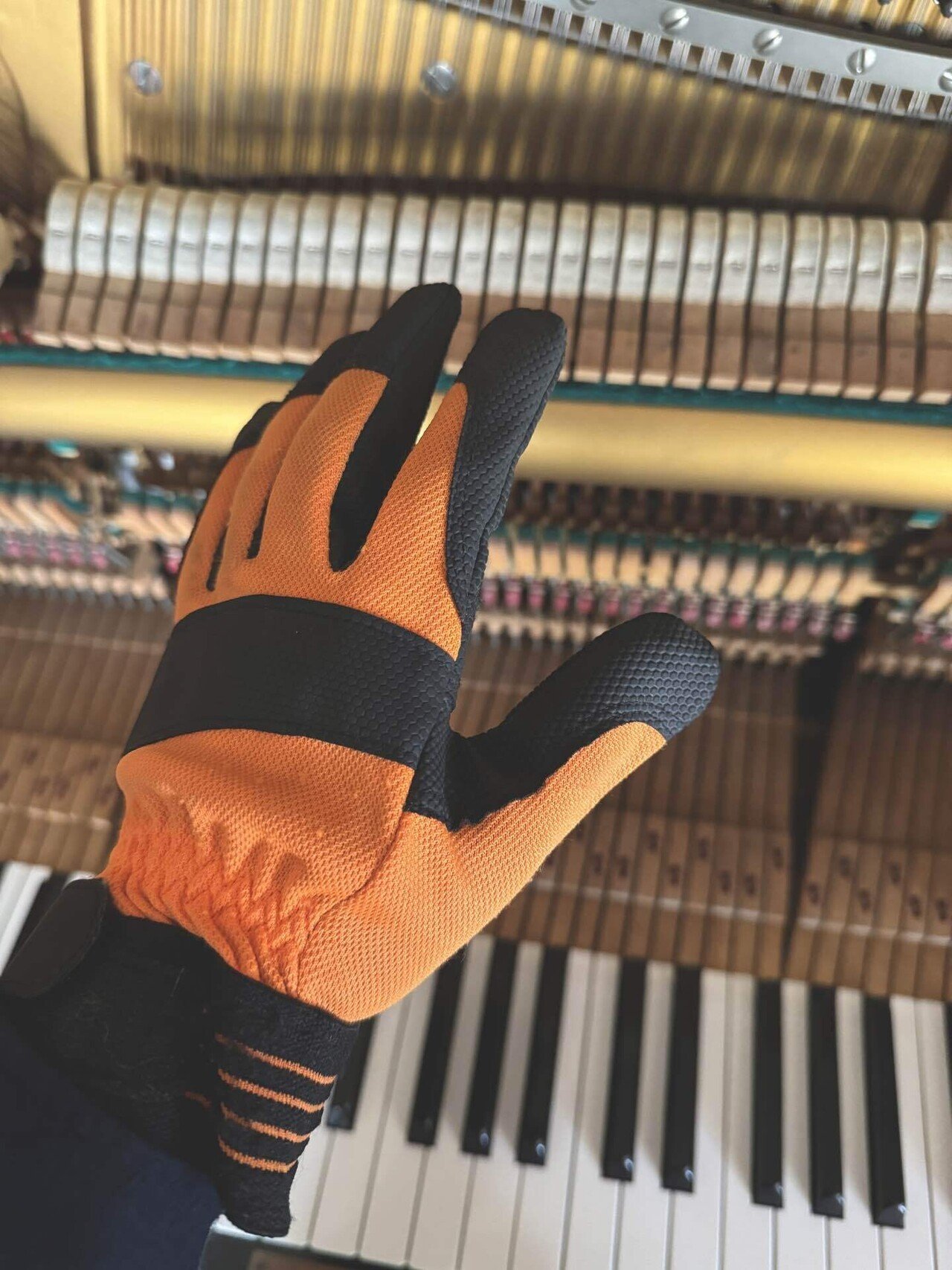 おもしろい手袋を見つけた｜中嶋廣明＠つくしピアノ調律所