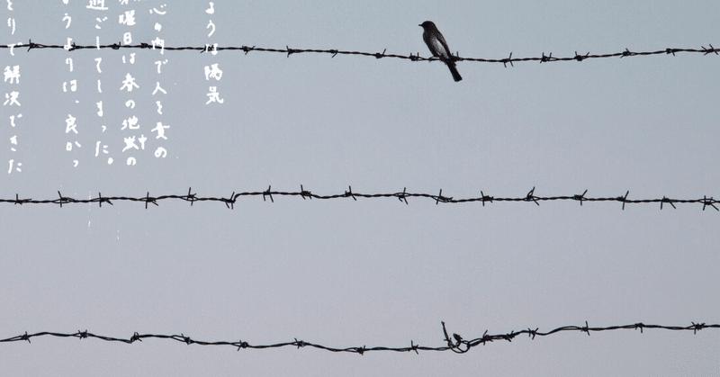 3月30日 胸中の手記 汚れた目で見たくない。