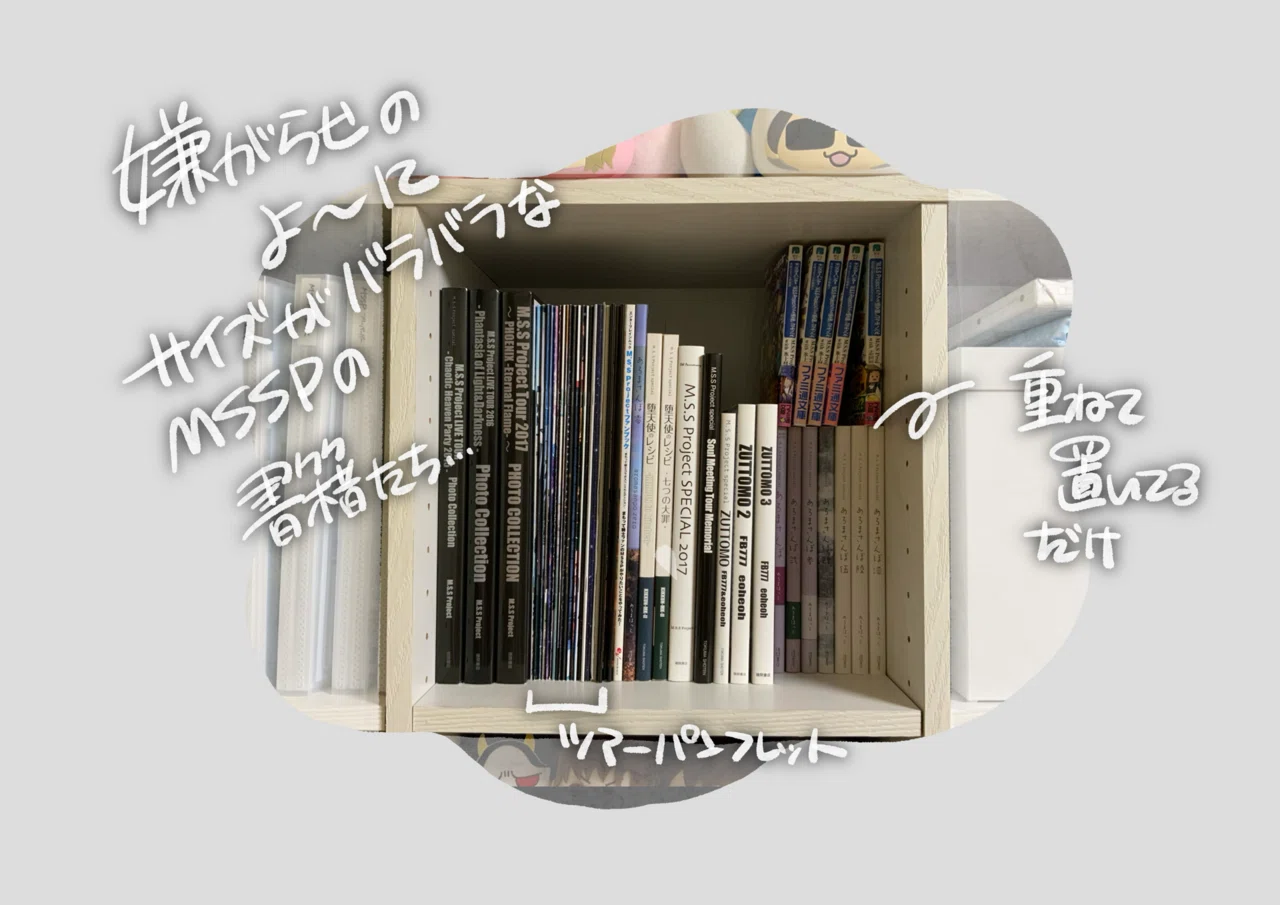 グッズ収納・装飾 雑記 MSSP編｜はんすう