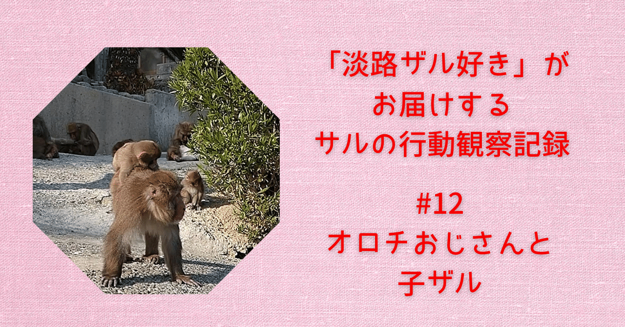 12 オロチおじさんと子ザル｜sora.11