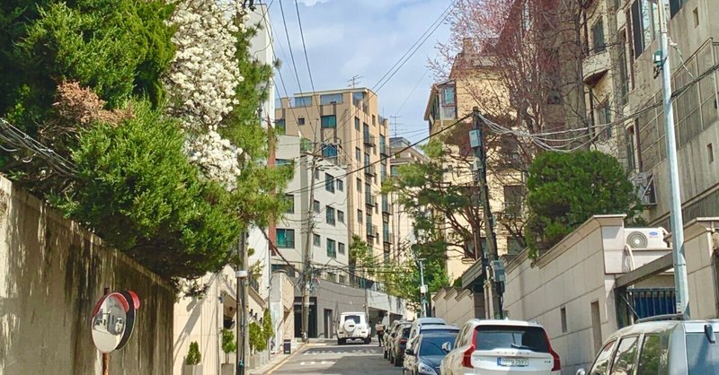 ソウルの静かな住宅街で出会う本格的なフレンチデザート