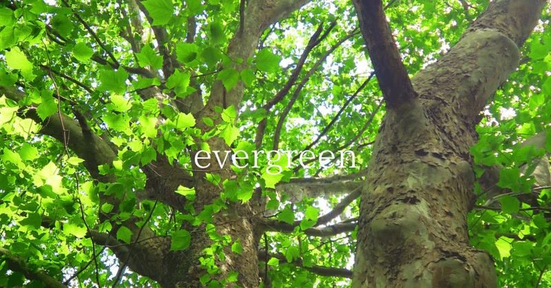 【New Release！】evergreen - 美しいギター音楽作品展のご案内