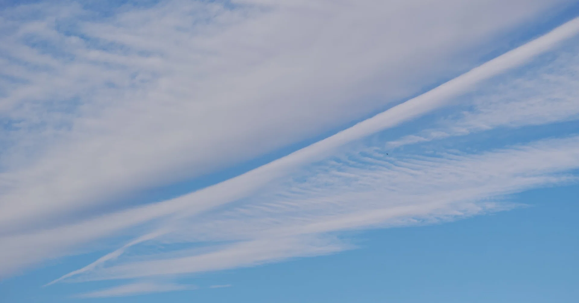 空（そら）と空（から）。｜Makoto Shirasu