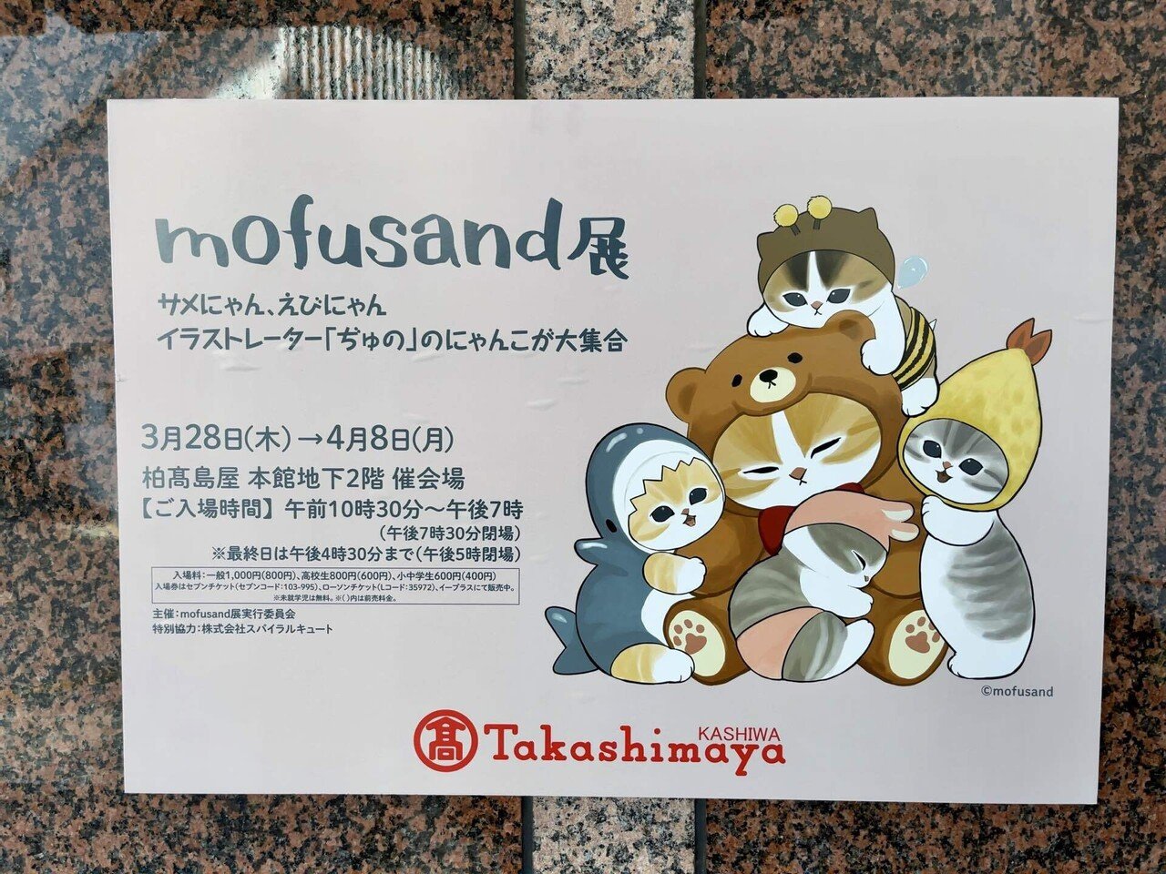 にゃんこボクサー　アクリル画　原画 SNSで話題！】シュールで可愛いにゃんこが『仙台フォーラス』に