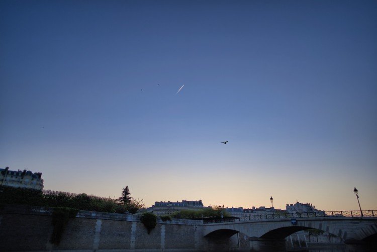 明け方、セーヌ川沿いを散歩中ふと見上げると飛行機雲。いつも行き先を想像して、しばらく立ち止まってしまう。いい旅を。