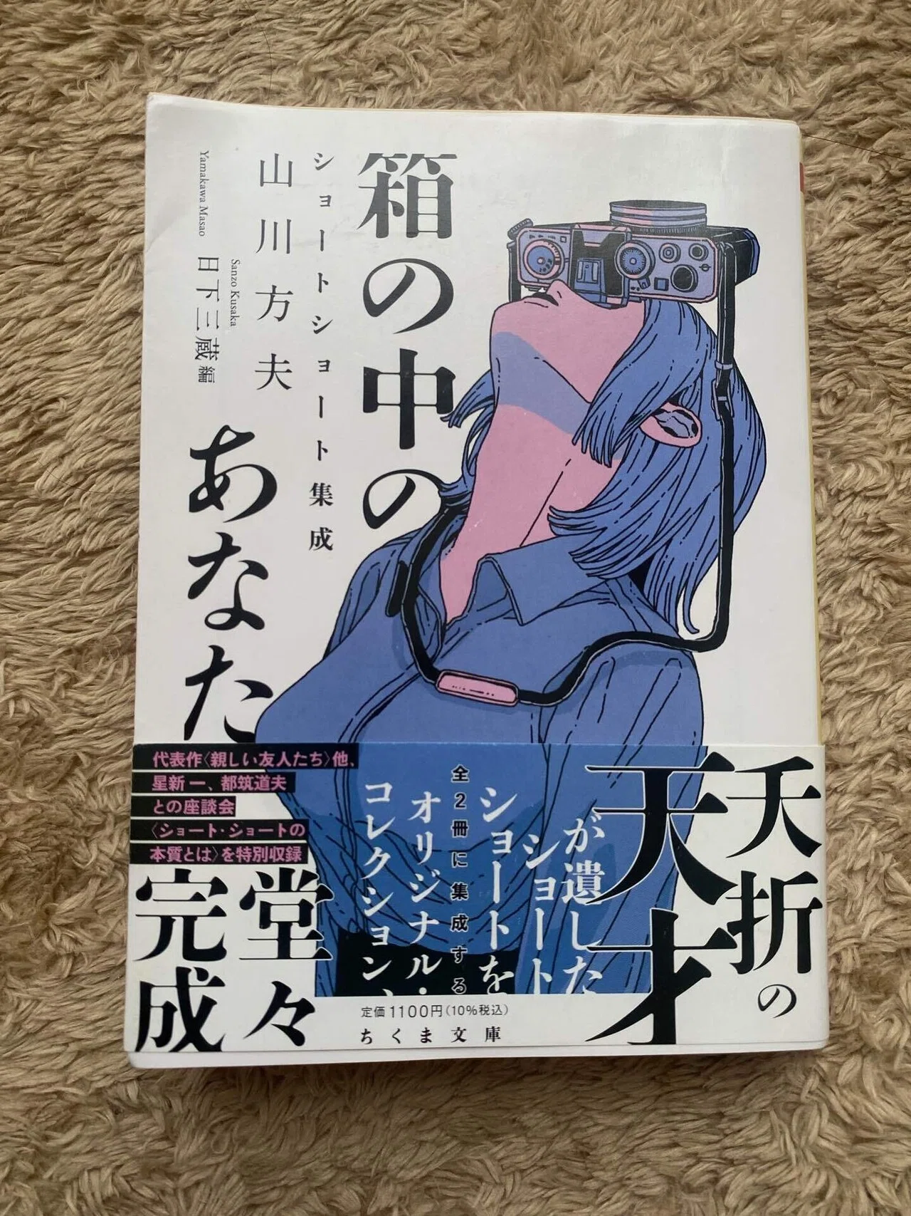 物語を生きたくなるだろう－『箱の中のあなた』山川方夫(2022年刊行