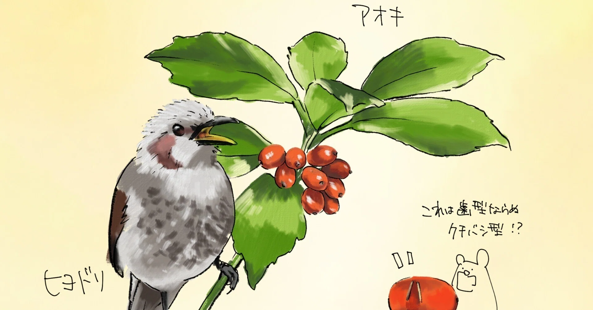アオキの実に残る、つまんだ跡｜くますけ｜自然ガイド・クリエイター