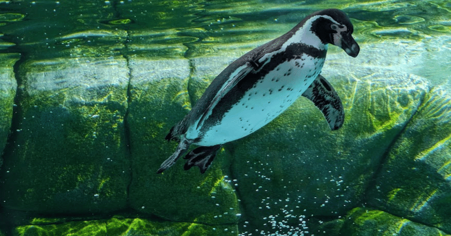 3e1ef02ccbe43db984151f10680dcf