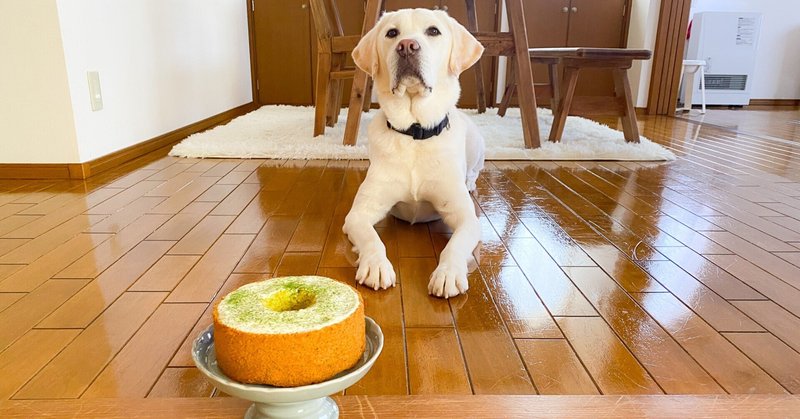 愛犬と一緒に食べられる「小松菜のシフォンケーキ」