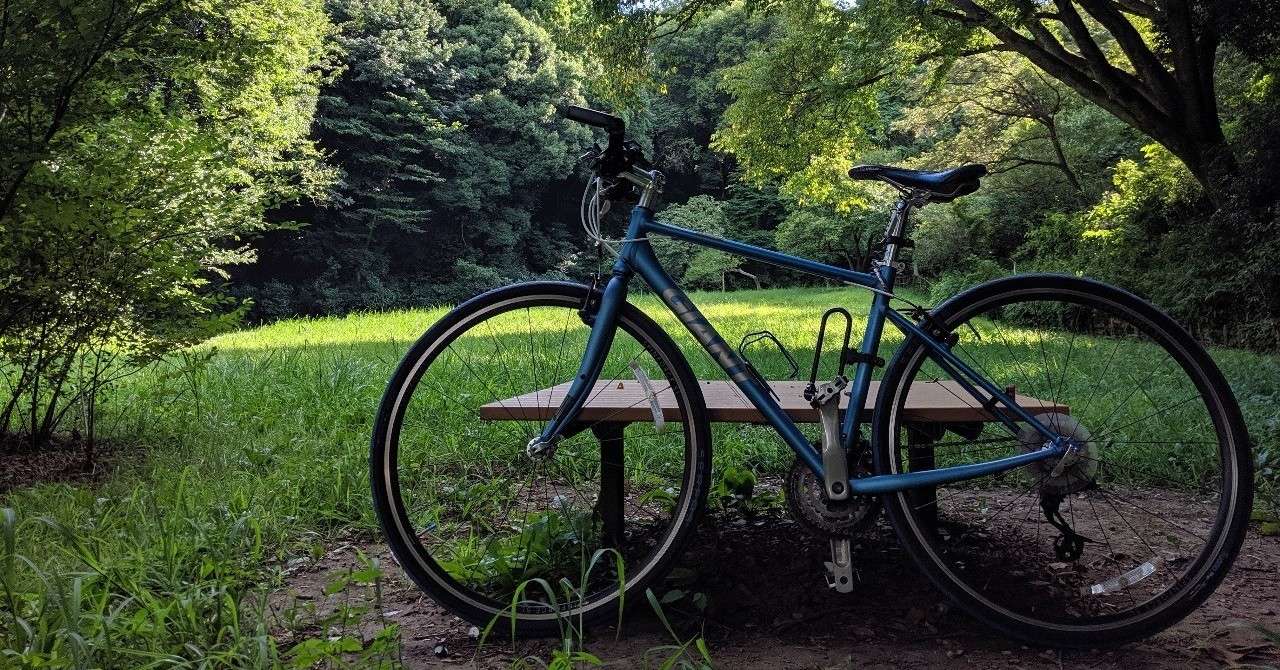 痛い 自転車でこけた 体験談 女子中学生が5メートル吹っ飛ぶ