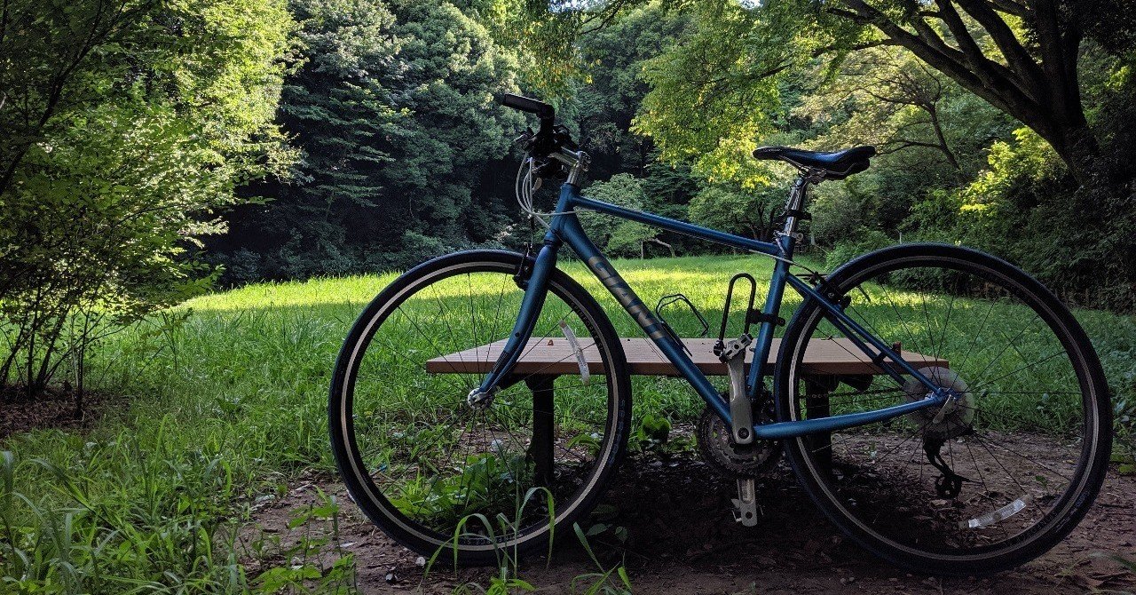 自転車でコケた顛末 R 9 Note