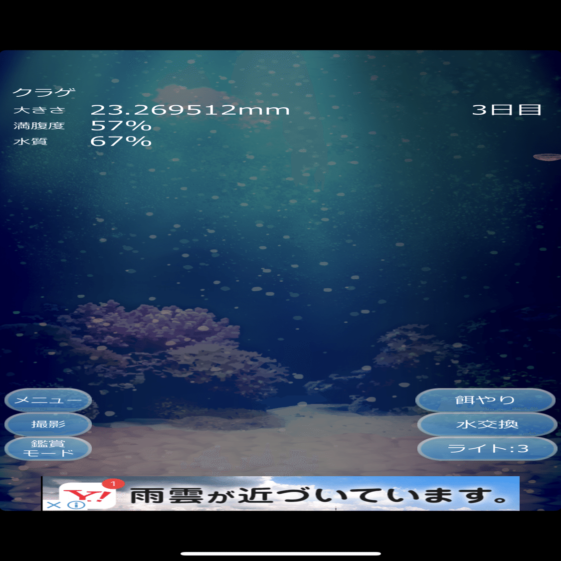 クラゲ育成日記 さいかわ日記番外編 名月 一ノ瀬迷子 Ichinose Meiko Note